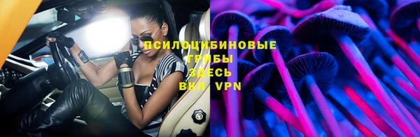 крисы Лагань