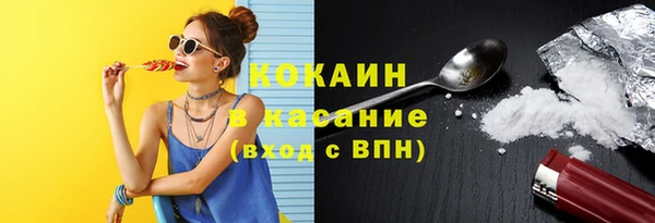 дурь Лабытнанги