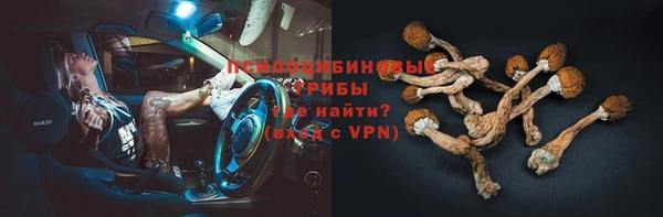 крисы Лагань