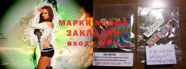 дурь Лабытнанги